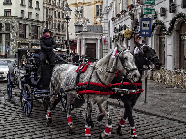 Roaming the streets of Vienna on a horse carriage ride via flickr by Игорь М